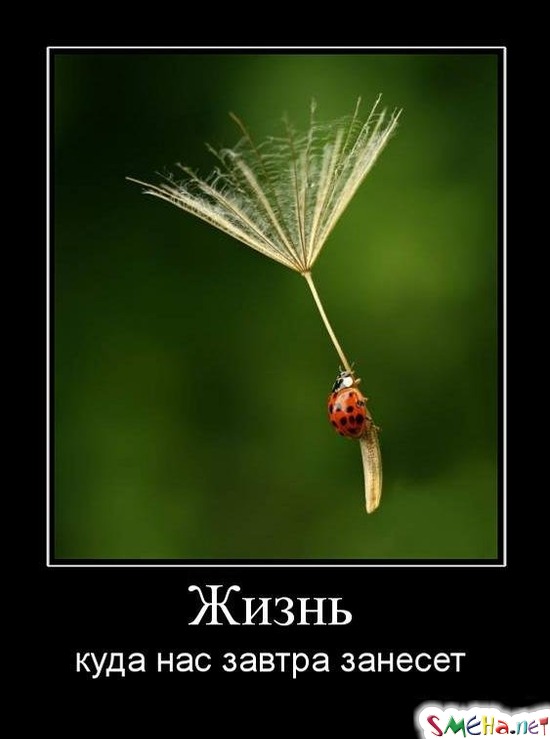 Жизнь - куда нас завтра занесет