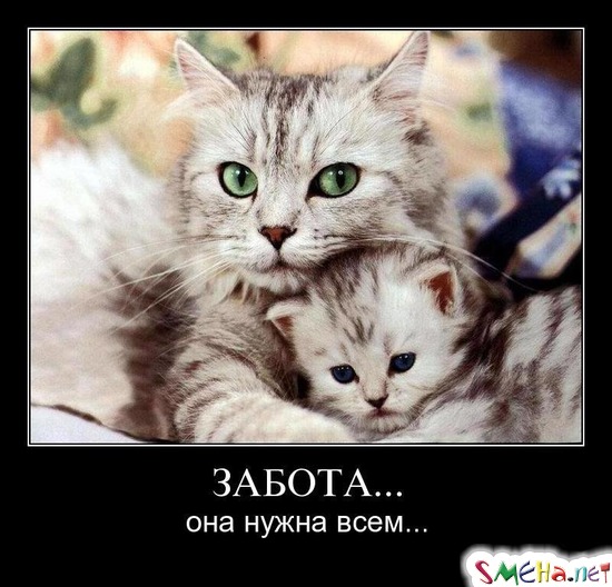 ЗАБОТА... - она нужна всем...