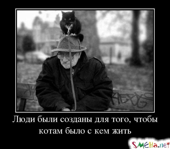 Люди были созданы для того, чтобы котам было с кем жить