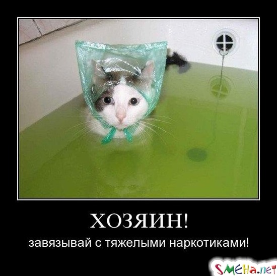 ХОЗЯИН! - завязывай с тяжелыми наркотиками!