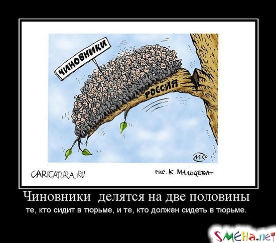 Чиновники  делятся на две половины - те, кто сидит в тюрьме, и те, кто должен сидеть в тюрьме.