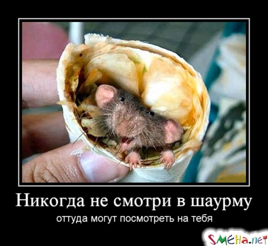 Никогда не смотри в шаурму  оттуда могут посмотреть на тебя