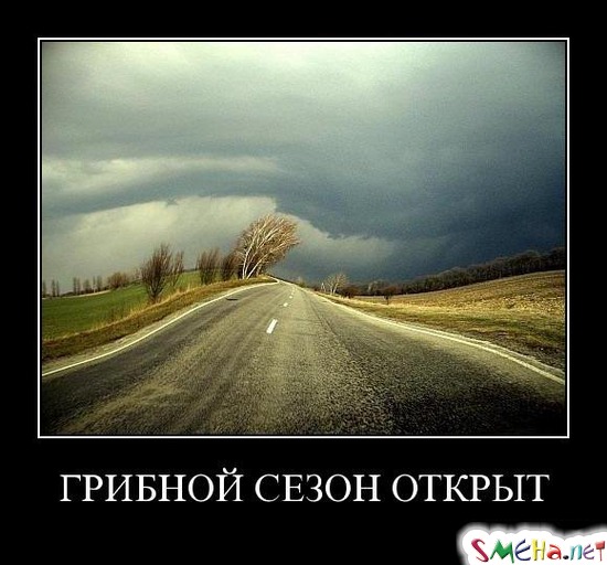 ГРИБНОЙ СЕЗОН ОТКРЫТ