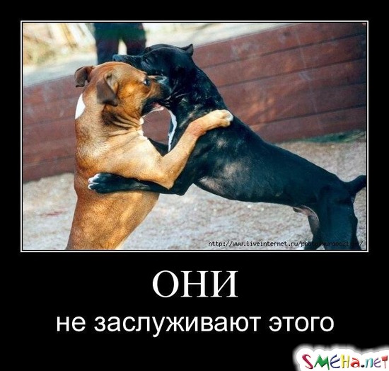 ОНИ - не заслуживают этого