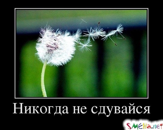 Никогда не сдувайся