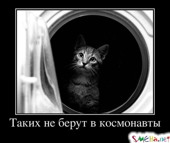 Таких не берут в космонавты