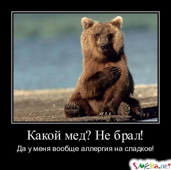 Какой мед? Не брал! - Да у меня вообще аллергия на сладкое!