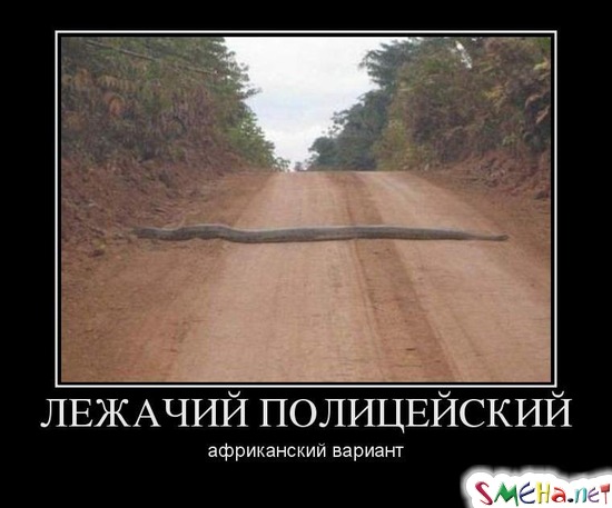 ЛЕЖАЧИЙ ПОЛИЦЕЙСКИЙ - африканский вариант