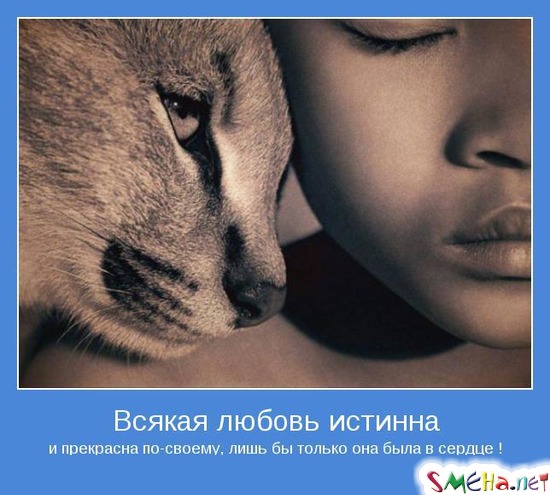 Всякая любовь истинна - и прекрасна по-своему, лишь бы только она была в сердце !