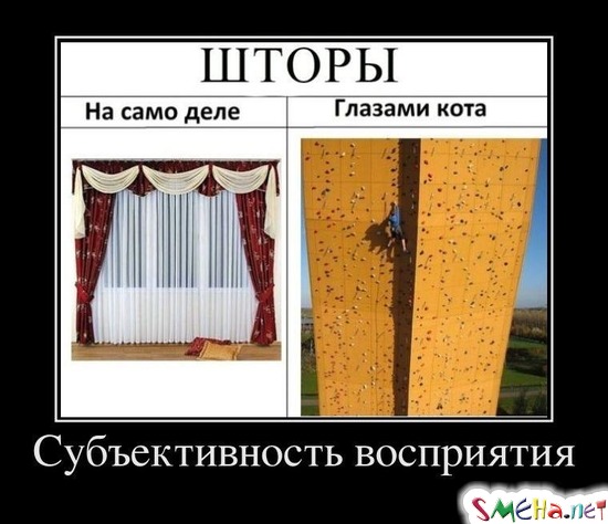Субъективность восприятия 2