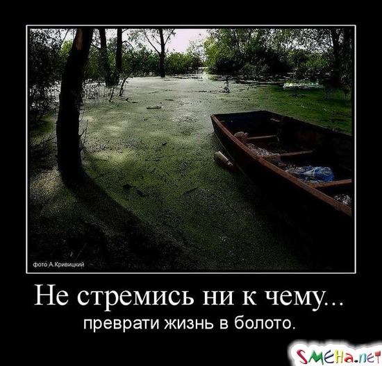 Не стремись ни к чему... - преврати жизнь в болото.
