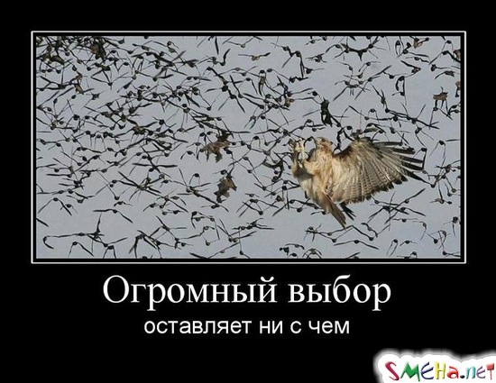 Огромный выбор - оставляет ни с чем