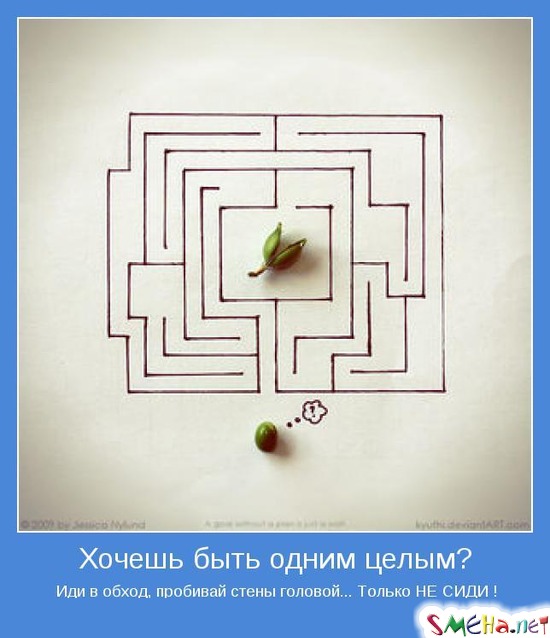 Хочешь быть одним целым? - Иди в обход, пробивай стены головой... Только НЕ СИДИ !