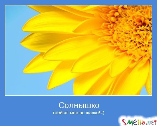 Солнышко - грейся! мне не жалко!=)