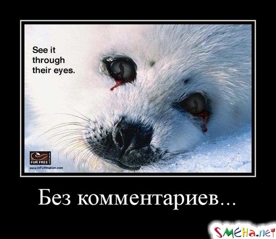 Без комментариев...