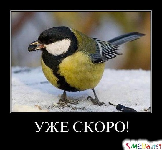 УЖЕ СКОРО!