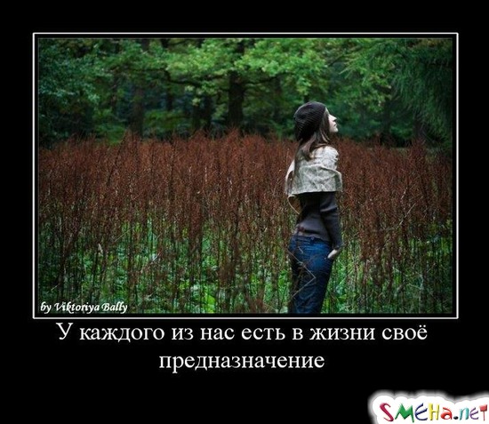 У каждого из нас есть в жизни своё предназначение