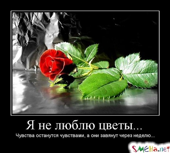 Я не люблю цветы... - Чувства останутся чувствами, а они завянут через неделю...