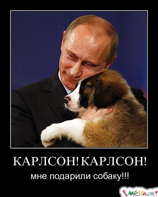 КАРЛСОН! КАРЛСОН! - мне подарили собаку!!!