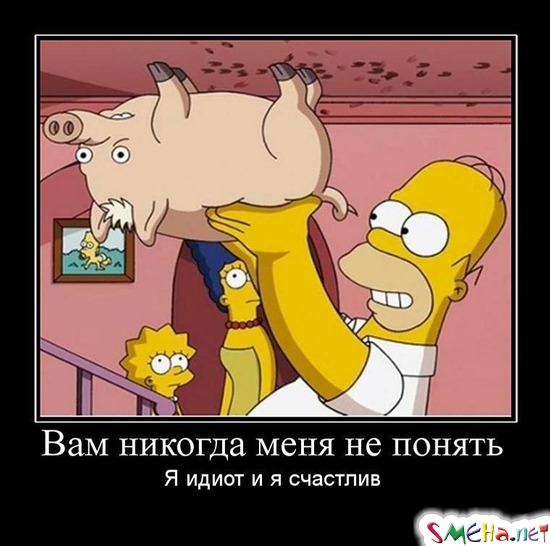 Вам никогда меня не понять - Я идиот и я счастлив