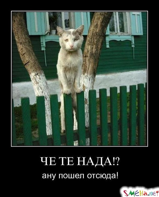 ЧЕ ТЕ НАДА!? - ану пошел отсюда!