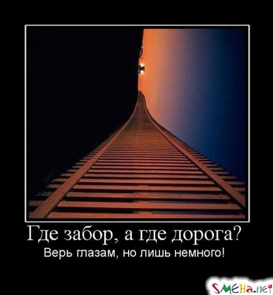 Где забор, а где дорога? - Верь глазам, но лишь немного!