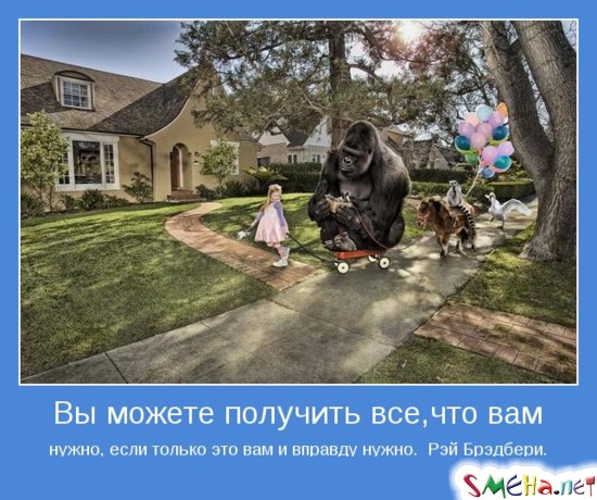 Вы можете получить все, что вам нужно, если только это вам и вправду нужно