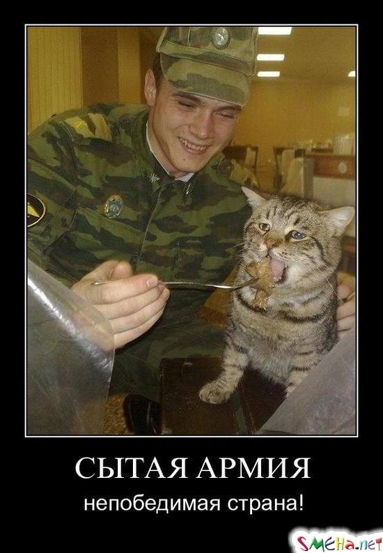 СЫТАЯ АРМИЯ - непобедимая страна!