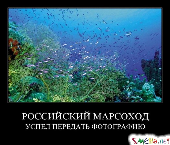 РОССИЙСКИЙ МАРСОХОД - УСПЕЛ ПЕРЕДАТЬ ФОТОГРАФИЮ