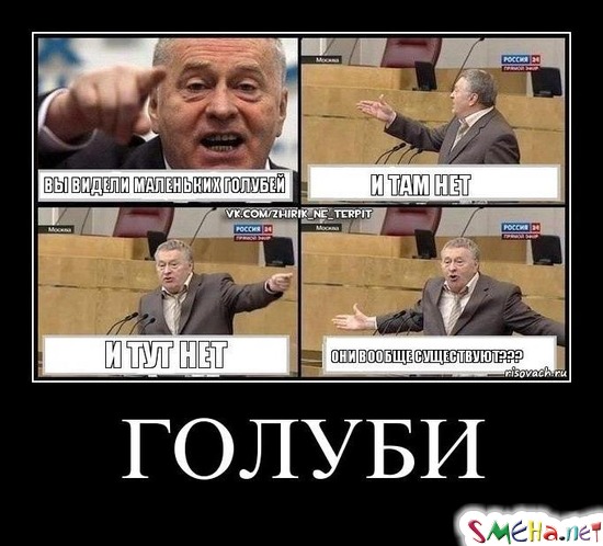 ГОЛУБИ