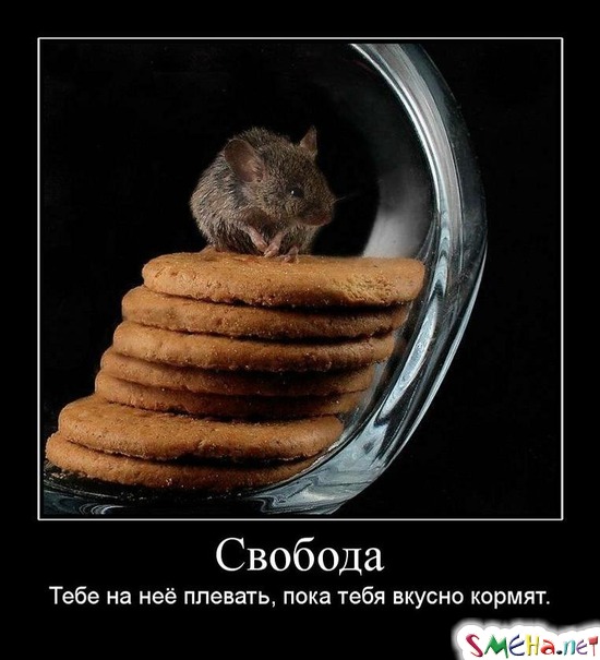 Свобода - Тебе на неё плевать, пока тебя вкусно кормят.