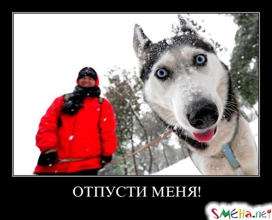 ОТПУСТИ МЕНЯ!