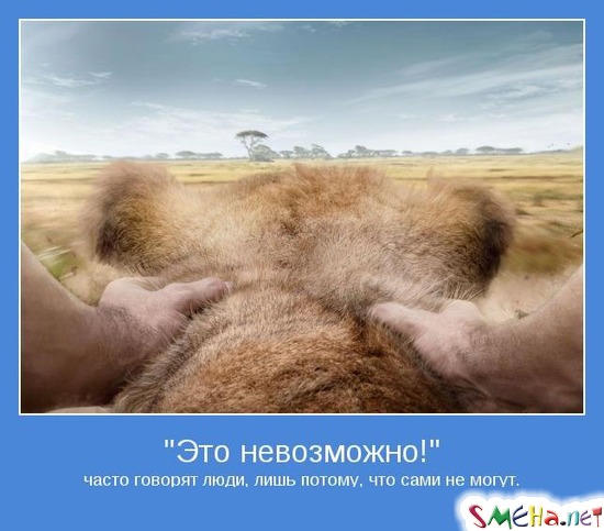 Это невозможно! часто говорят люди, лишь потому, что сами не могут
