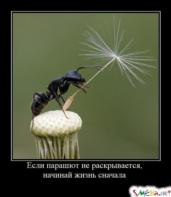 Если парашют не раскрывается, - начинай жизнь сначала