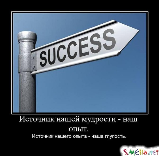 Источник нашей мудрости - наш опыт. - Источник нашего опыта - наша глупость.