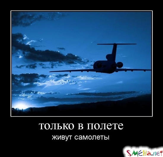 только в полете - живут самолеты