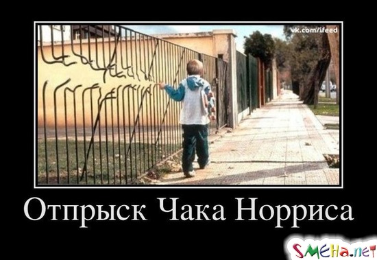 Отпрыск Чака Норриса
