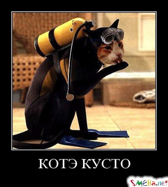 КОТЭ КУСТО