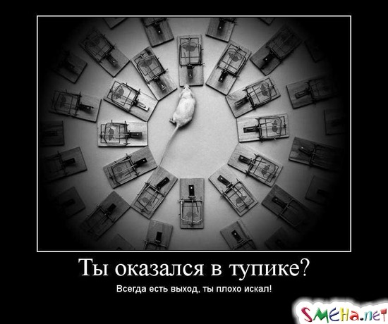 Ты оказался в тупике? - Всегда есть выход, ты плохо искал!
