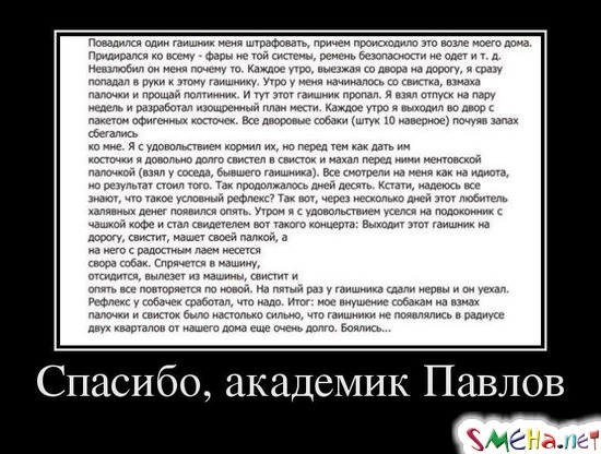 Спасибо, академик Павлов
