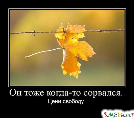 Он тоже когда-то сорвался. - Цени свободу.