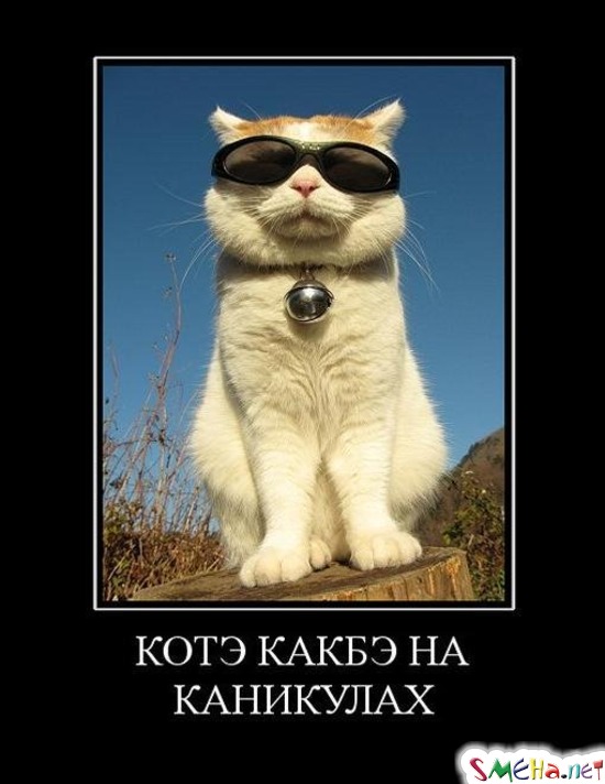 КОТЭ КАКБЭ НА КАНИКУЛАХ