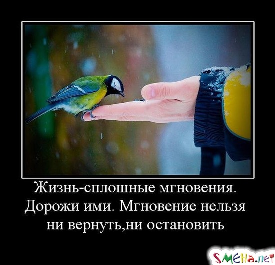 Жизнь - сплошные мгновения. Дорожи ими. Мгновение нельзя ни вернуть, ни остановить