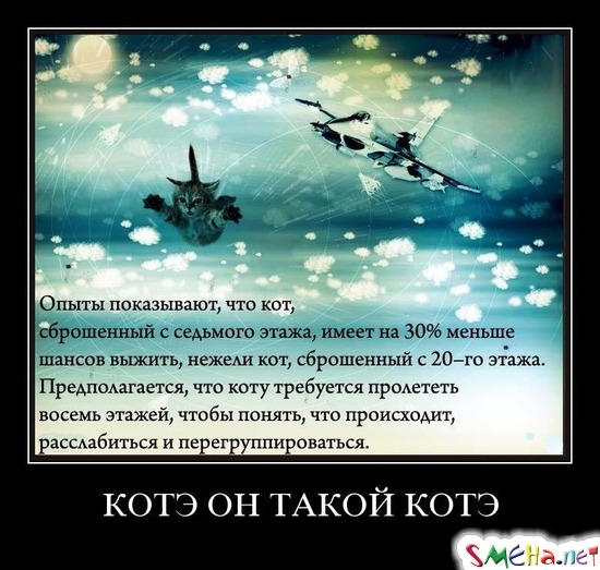 КОТЭ ОН ТАКОЙ КОТЭ