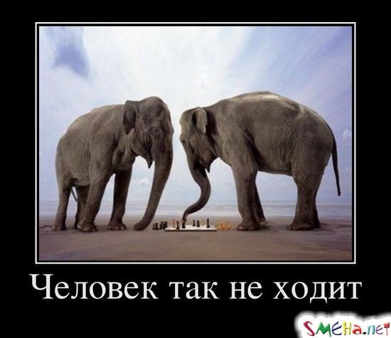 Человек так не ходит