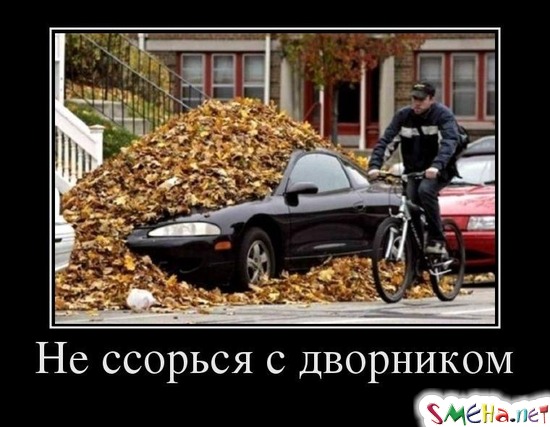 Не ссорься с дворником