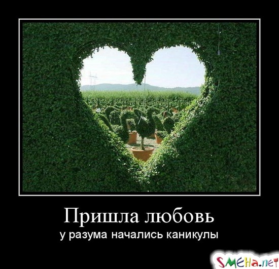 Пришла любовь - у разума начались каникулы