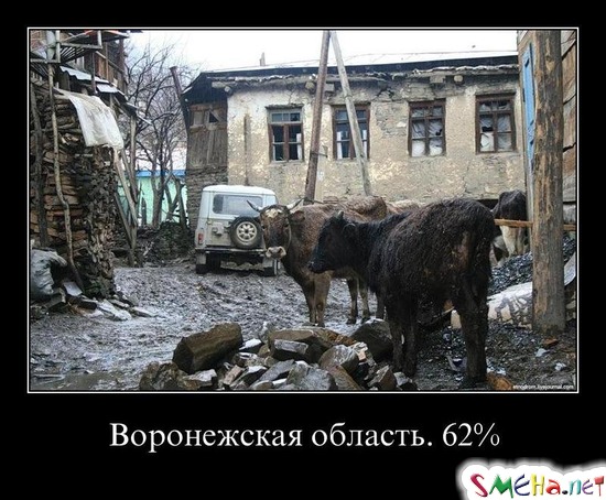 Воронежская область. 62%