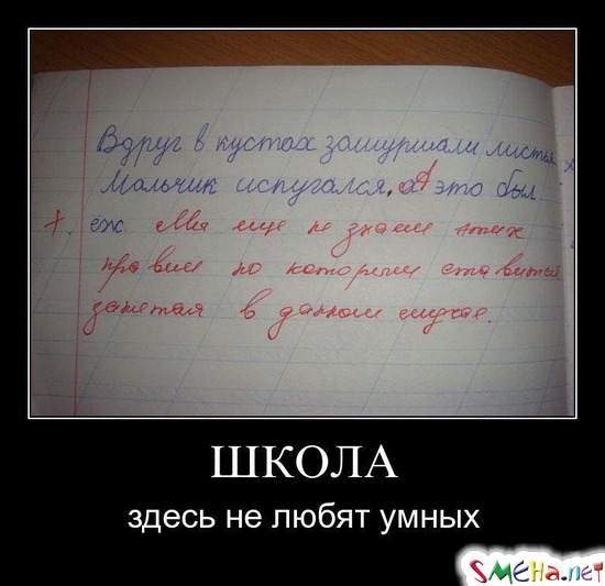 ШКОЛА - здесь не любят умных
