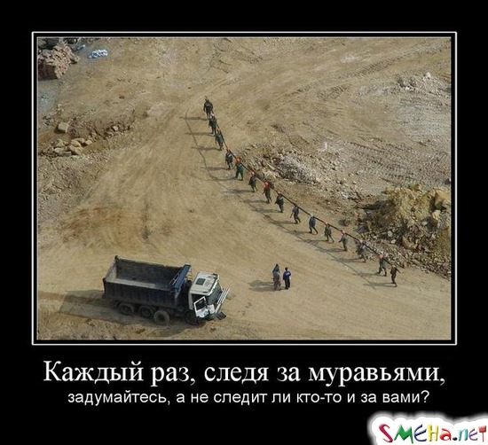 Каждый раз, следя за муравьями, - задумайтесь, а не следит ли кто-то и за вами?
